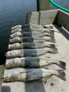 Fishing in Corpus Christi, Texas