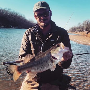 Largemouth Bass fishing in Granbury, Texas