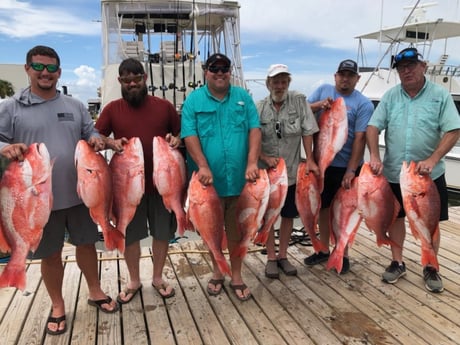 Red Snapper fishing in Dauphin Island, Alabama