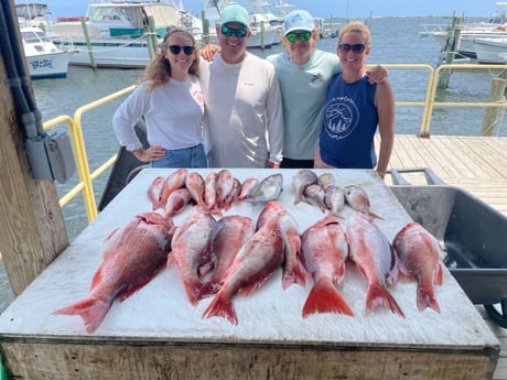 Amberjack, Red Snapper, Scup Fishing in Pensacola, Florida