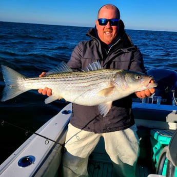Striped Bass Fishing in Stone Harbor, New Jersey