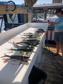 Blue Catfish, Florida Pompano, Spanish Mackerel Fishing in Orange Beach, Alabama