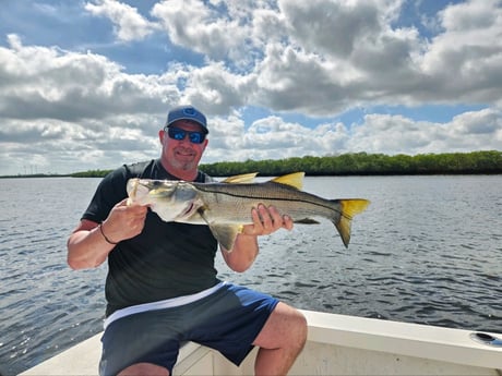 Snook Fishing in Bradenton, Florida