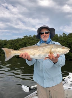 Redfish Fishing in Tarpon Springs, Florida