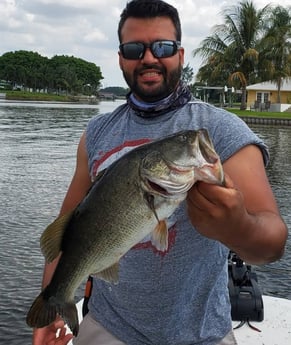Largemouth Bass fishing in Delray Beach, Florida