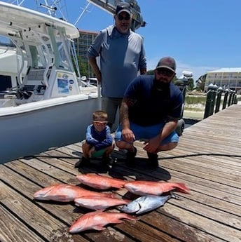 False Albacore, Red Snapper Fishing in Pensacola, Florida