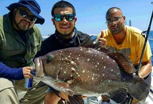 Snowy Grouper fishing in Port Isabel, Texas