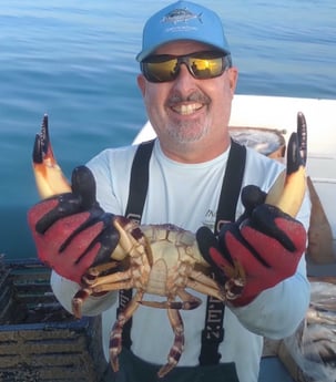 Crab Fishing in Bradenton, Florida