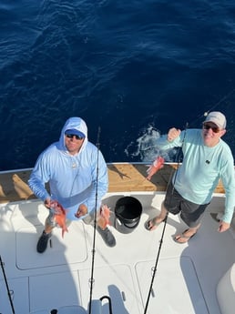 Queen Snapper Fishing in Islamorada, Florida