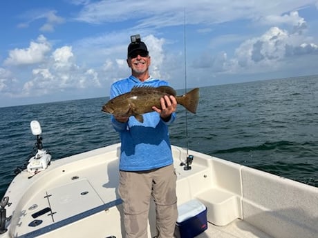 Gag Grouper Fishing in Crystal River, Florida