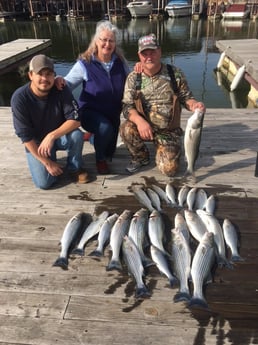 Largemouth Bass fishing in Pottsboro, Texas