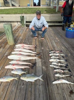 Black Drum, Florida Pompano, Redfish Fishing in Port O&#039;Connor, Texas