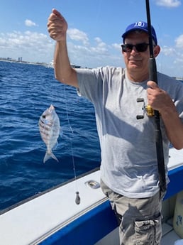 Lane Snapper fishing in West Palm Beach, Florida