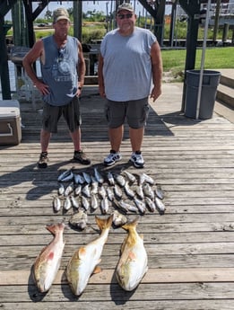 Redfish, Sheepshead, Speckled Trout / Spotted Seatrout fishing in Sulphur, Louisiana