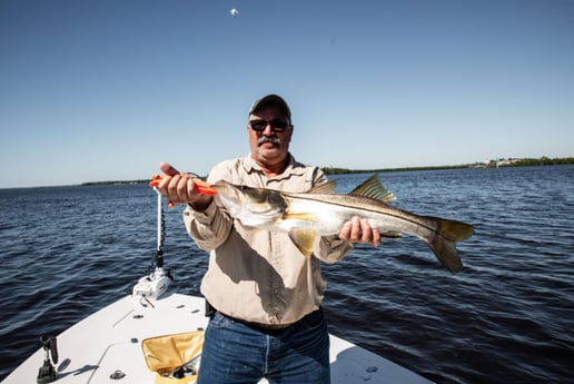Snook Fishing in Fort Myers, Florida