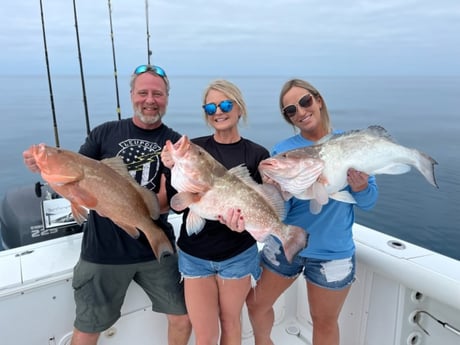 Red Grouper Fishing in Bay Pines, Florida