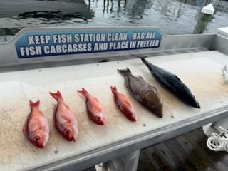 Fishing in Shalimar, Florida