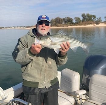 Hybrid Striped Bass Fishing in Pottsboro, Texas