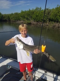 Snook Fishing in New Smyrna Beach, Florida