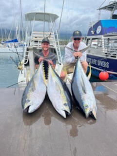 Yellowfin Tuna fishing in Kalaoa, Hawaii