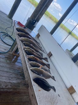 Flounder, Redfish Fishing in Delacroix, Louisiana