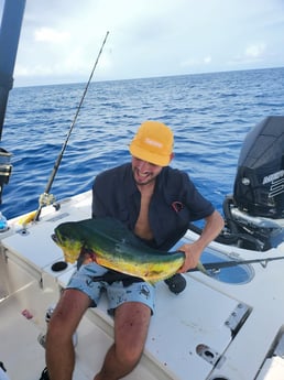 Mahi Mahi Fishing in Key Largo, Florida