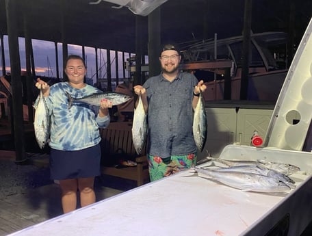 False Albacore Fishing in Destin, Florida