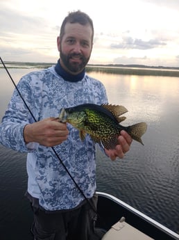 Crappie Fishing in Kissimmee, Florida