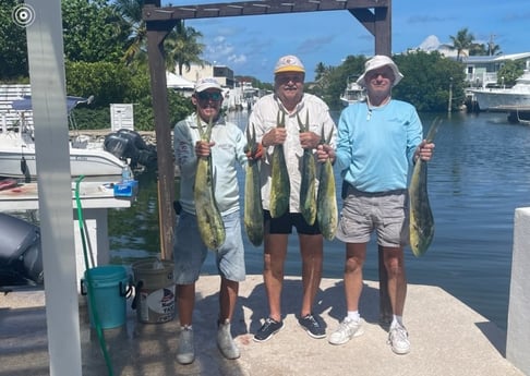 Mahi Mahi / Dorado fishing in Naples, Florida