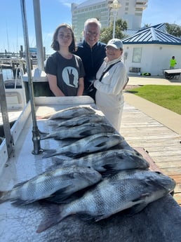Fishing in Biloxi, Mississippi