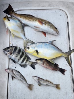Fishing in Fort Myers Beach, Florida