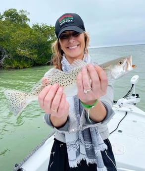 Speckled Trout / Spotted Seatrout Fishing in Tavernier, Florida