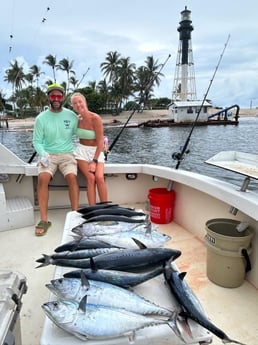 Blackfin Tuna, False Albacore Fishing in Pompano Beach, Florida