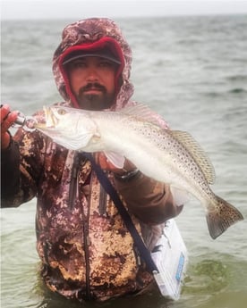 Speckled Trout / Spotted Seatrout Fishing in Port O&#039;Connor, Texas
