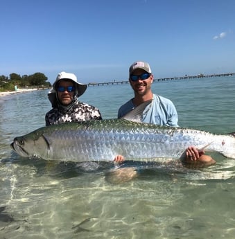 Tarpon Fishing in Tampa, Florida
