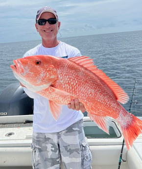 Red Snapper Fishing in Gulfport, Florida