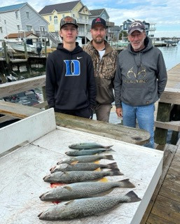 Bluefish, Speckled Trout Fishing in Beaufort, North Carolina