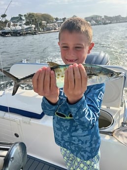 Spanish Mackerel Fishing in Destin, Florida