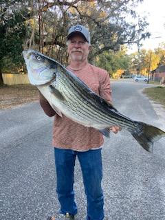 Striped Bass Fishing in Pensacola, Florida