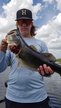 Largemouth Bass fishing in Fort Lauderdale, Florida
