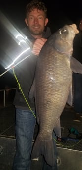 Carp Fishing in Livingston, Texas