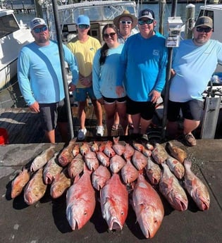 Red Grouper, Red Snapper Fishing in Clearwater, Florida