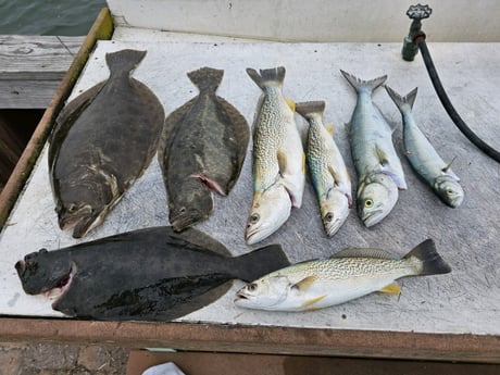 Bluefish, Flounder, Speckled Trout Fishing in Stone Harbor, New Jersey