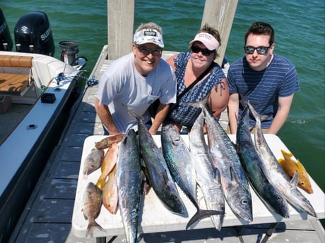 Kingfish, Red Grouper, Scup, Yellowtail Snapper Fishing in St. Petersburg, Florida
