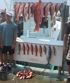 False Albacore, Redfish, Spanish Mackerel, Vermillion Snapper Fishing in Destin, Florida