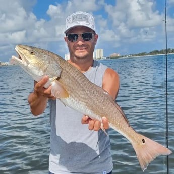 Redfish Fishing in Clearwater, Florida