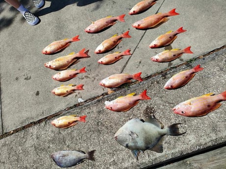 Fishing in Port Orange, Florida