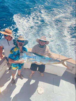 Mahi Mahi / Dorado fishing in Port Orange, Florida