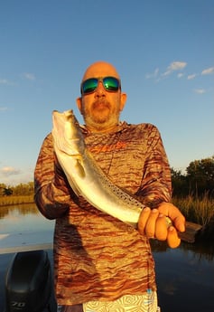 Speckled Trout / Spotted Seatrout Fishing in St. Augustine, Florida