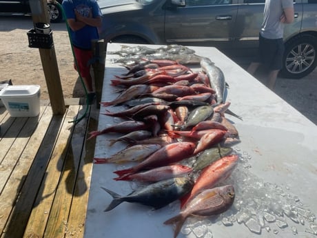 Florida Pompano, Lane Snapper, Scup, Vermillion Snapper Fishing in Pensacola, Florida